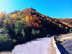 -塞罕坝国家级自然保护区