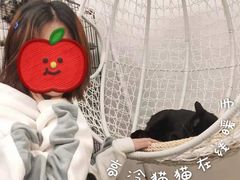 -浣熊柯尔鸭土拨鼠·电玩咖