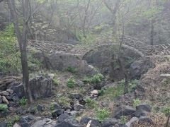 -妙峰山风景名胜区