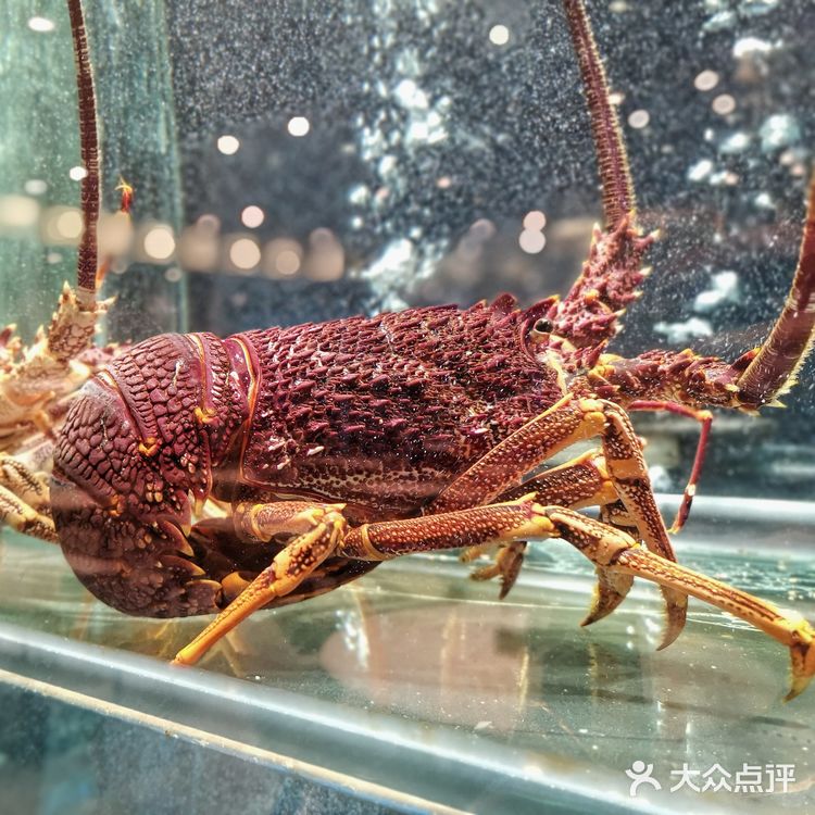 超适合宴请的高档潮州菜，必吃『潮香三宝』