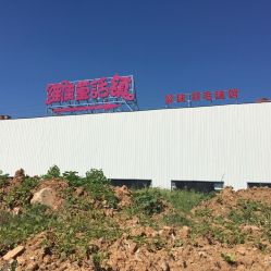 -维佳童话镇演出现场(徐东店)