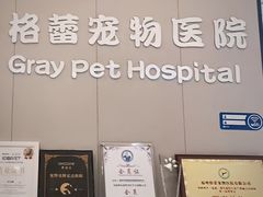 -格蕾宠物医院24H·猫科·肿瘤科·骨科中心(福州总院)