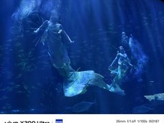 -华夏文旅海洋公园