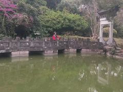 -深圳国际园林花卉博览园