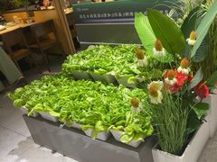 -九孔·筒骨莲藕汤锅(大明宫万达店)