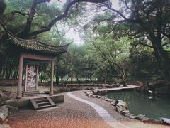 -五泄景区