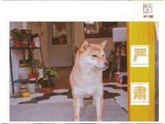 门面-About Bistro關於·泰式家庭料理