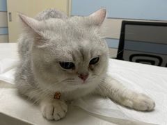 -中农国际动物医院24小时·猫科·骨科·急重症中心