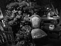 -杂咖zacup(领展中心城店)