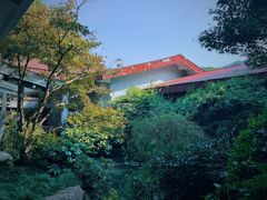 -中国茶叶博物馆(双峰馆区)