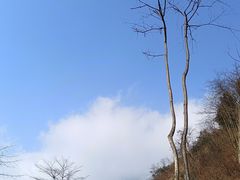 -九峰山