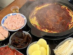 -重庆川渝肥妹火锅