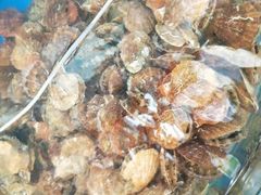 -晓伟海鲜家常菜