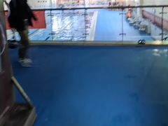 -首钢篮球中心-游泳馆