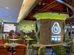 -油梨树AVOCADO TREE(嘉里中心店)
