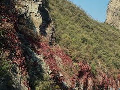 -灵山
