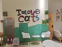 -藏猫猫咖啡主题馆(中央大道店)