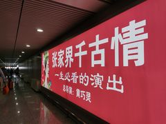 -张家界荷花国际机场