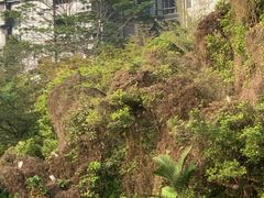 -燕晗山郊野公园