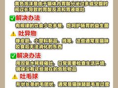 -守诺宠物医院·眼科· 特色牙科·异宠专科(虹口店)