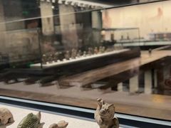 -四川大学博物馆