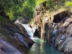 -广州白江湖森林公园