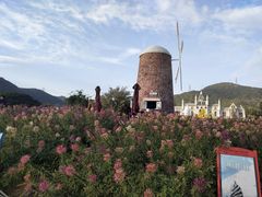 -玫瑰海岸文化旅游度假区