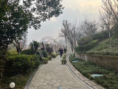 -成都欢乐谷