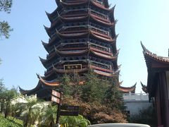 -铁山坪森林公园