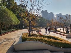 -新江湾城公园