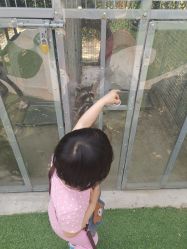 -萌宠亲子动物乐园(槐房万达店)