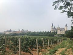 -北京张裕爱斐堡酒庄