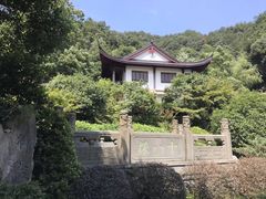 -龙井村
