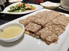 -金龙寨(龙城路店)