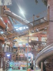 -卡通尼·Safari非洲探索乐园·生日会(金桥国际商业广场店)