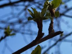 -首都医科大学附属北京友谊医院(西城院区)