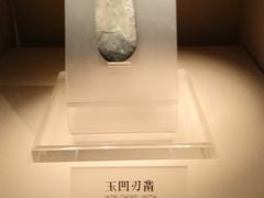 -神仙树公园
