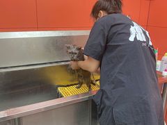 -瑞派·爱瑞可动物医院·口腔专科(广华新城分院)