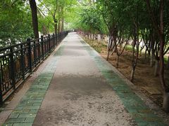 -桃花堤公园