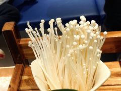 -额尔敦草原涮羊肉·烧烤(冻青树总店)