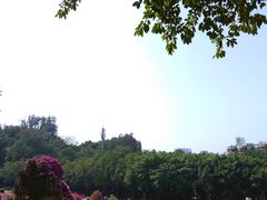 -广州雕塑公园