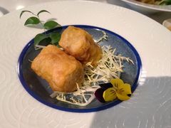 潮汕炸粿肉-伯衡55·吉品轩(乌鲁木齐南路店)