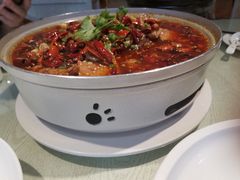 -朝郡酒家·粤菜(燕大星苑店)