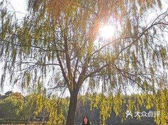 交通： 可以做公交车直达良渚遗址公园  门票可以网上
