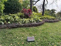 -晓港公园