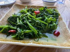 -张鲫鱼家常菜