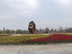 -南通鲜花小镇
