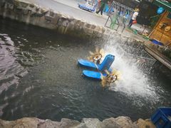 鱼池-京北渔家傲