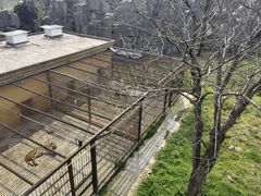 -南昌动物园