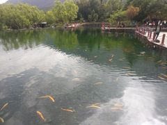 -丽江玉水寨